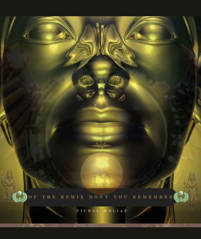 Of the Remix Dont You Remember The Times song by Nichel MOLIAE